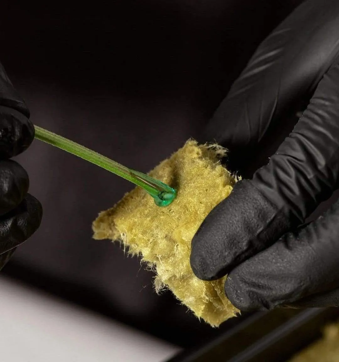 Athena Cuts Rooting Compound