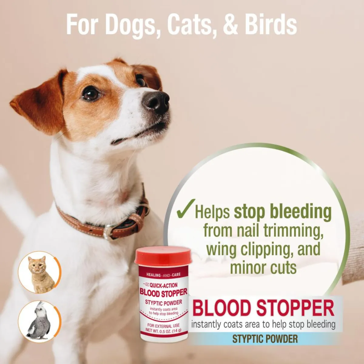 Four Paws Antiseptic Pet Blood Stopper Powder for Dogs, Cats, and Birds 0.5 Ounces