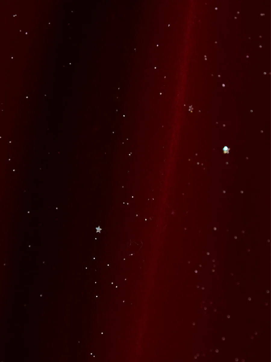 Velvet Bling-bling Dress